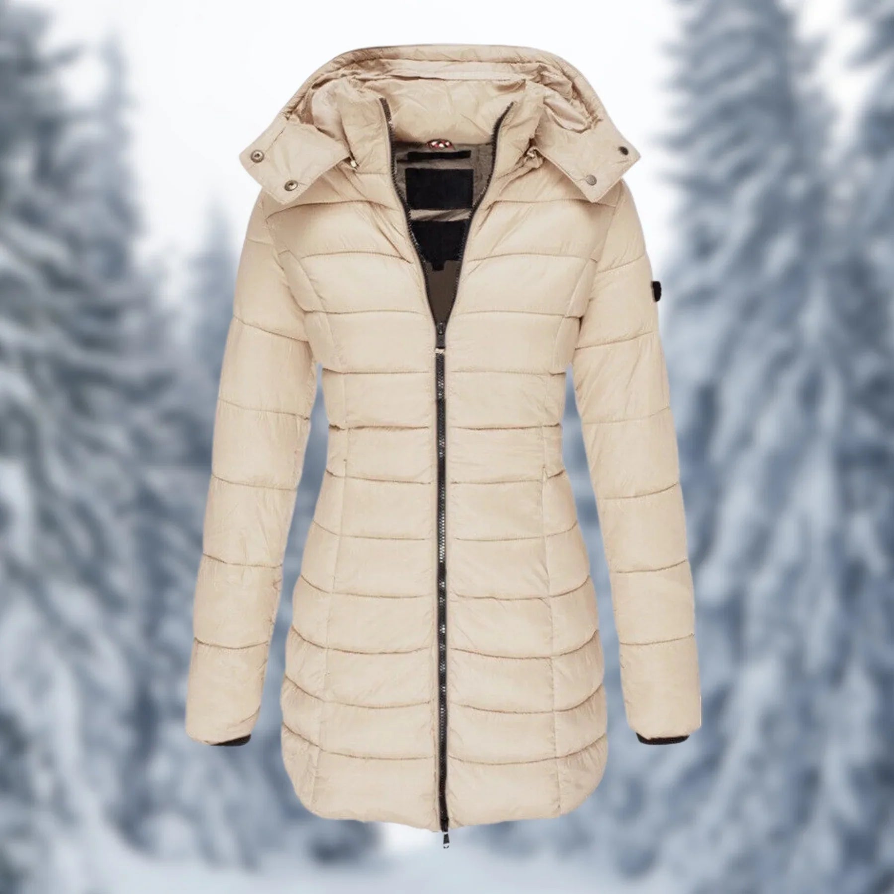 Warme winterjas met capuchon en elegante pasvorm voor ultiem comfort – Dames